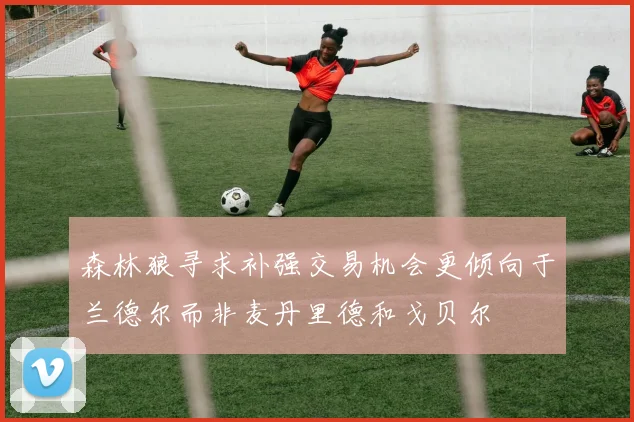 森林狼寻求补强交易机会更倾向于兰德尔而非麦丹里德和戈贝尔