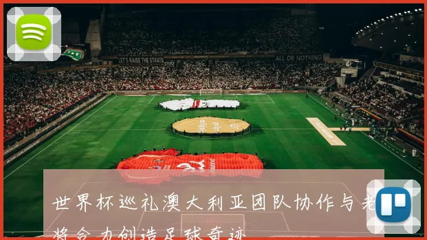 世界杯巡礼澳大利亚团队协作与老将合力创造足球奇迹